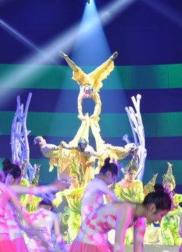 2017Ӵ