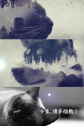 ָ