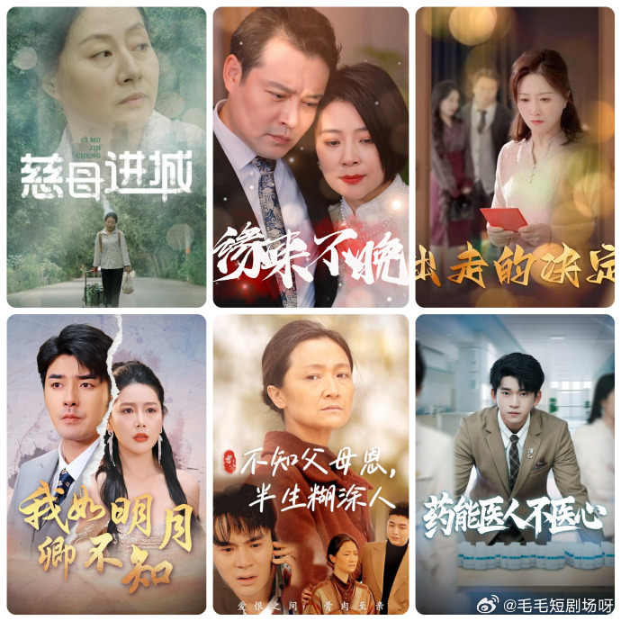 䲻֪