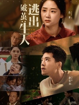 Ƽ룺ӳ